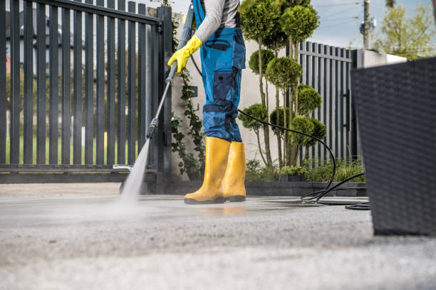 Best Sidewalk and Walkway Cleaning  in Buckley, WA